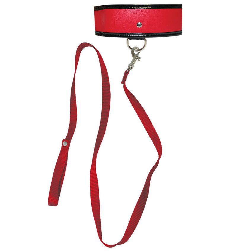 Red Leash and Collar