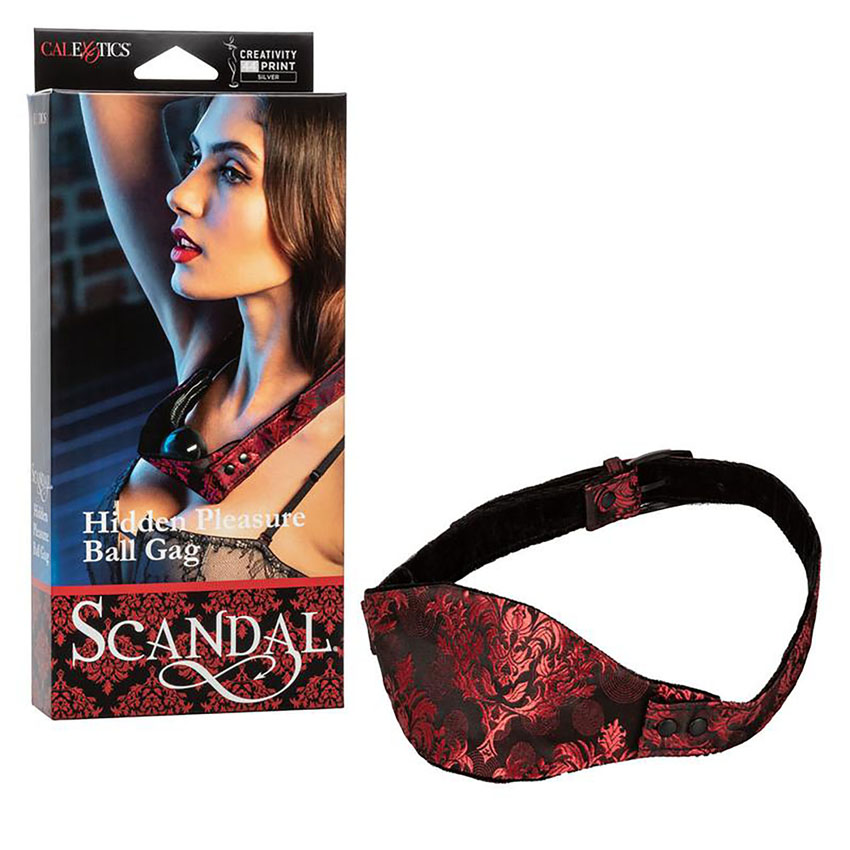 Hidden Pleasure Ball Gag